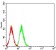 SOD2 Primary Antibody MP31094 [M8H3D2]