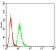 SYK Primary Antibody MP31103 [M3D1G10]