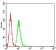AFAP1L2 Primary Antibody MP31121 [M2H6D1]