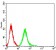 ROP1 Primary Antibody MP31143 [M4A7E12]