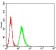 TCF4 Primary Antibody MP31149 [M7B1B3]