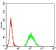 ADAMTS1 Primary Antibody MP31151 [M1C12E6]