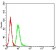 APBA2 Primary Antibody MP31156 [M7G5G11]