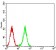 ATG2A Primary Antibody MP31166 [M4H8G3]