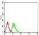 PRKAA2 Primary Antibody MP31178 [M8E11H5]