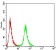 ANAPC1 Primary Antibody MP31181 [M7G9C7]