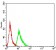 AEBP2 Primary Antibody MP31186 [M2D7B6]