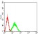 KDM4B Primary Antibody MP31195 [M3A6H6]