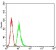 ATG7 Primary Antibody MP31198 [M7D3E5]