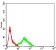 APEX1 Primary Antibody MP31203 [M7A2G7]