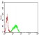 SMARCA1 Primary Antibody MP31204 [M2H7B8]