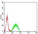SMARCA1 Primary Antibody MP31205 [M2H7B9]