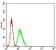 ATP2A1 Primary Antibody MP31211 [M3D1H6]