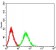 BCL11B Primary Antibody MP31218 [M1F8H9]