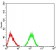 CHRNA6 Primary Antibody MP31226 [M5B6G8]
