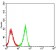 CHRNA3 Primary Antibody MP31232 [M6D3A10]