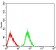 CHRNA3 Primary Antibody MP31232 [M6D3A10]