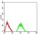 GRIA2 Primary Antibody MP31234 [M7A7A3]