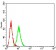 IGHM Primary Antibody MP31235 [M8B9D3]
