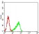 AURKA Primary Antibody MP31238 [M2D8A4]