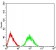 GRM7 Primary Antibody MP31240 [M7G8A2]