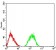 GRM7 Primary Antibody MP31241 [M7G8D3]