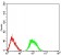 GRIA2 Primary Antibody MP31242 [M7A7D12]