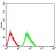 CHRNA5 Primary Antibody MP31250 [M2D2D10]