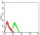 GRM3 Primary Antibody MP31255 [M6H10C3]