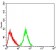 GRM3 Primary Antibody MP31256 [M7A5A6]