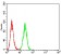 BAK1 Primary Antibody MP31274 [M2H9H7]