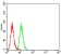 PRKAB2 Primary Antibody MP31275 [M7A8C3]