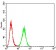 PRKAB2 Primary Antibody MP31276 [M8F5B2]