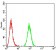 ANAPC1 Primary Antibody MP31280 [M7G9B3]