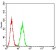 GLRB Primary Antibody MP31289 [M3B8A8]