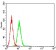 CHRNA10 Primary Antibody MP31291 [M4E2D1]