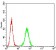 HTR3A Primary Antibody MP31294 [M4D5E7]