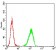 TNFSF11 Primary Antibody MP31304 [M8A7B9]