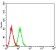 CD100 Primary Antibody MP31316  [M5H6E3]