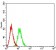 CD100 Primary Antibody MP31317 [M5C5B10]