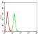 P2RY1 Primary Antibody MP31320 [M4G5D6]