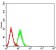 P2RY1 Primary Antibody MP31320 [M4G5D6]
