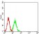 CD269 Primary Antibody MP31322 [M1D12G9]