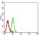 CD147 Primary Antibody MP31323 [M3E10C1]