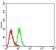 CD147 Primary Antibody MP31324 [M7H4D4]