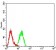 CD110 Primary Antibody MP31327 [M1D6B7]