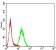 ELANE Primary Antibody MP31331  [M6B6B10]