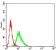 CD193 Primary Antibody MP31332 [M8E9H10]
