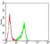 P2RY14 Primary Antibody MP31334  [M8A11B11]