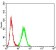 CD207 Primary Antibody MP31337 [M1C5A1]